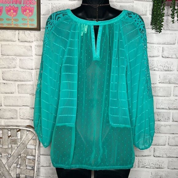 Fig and Flower Turquoise Blouse with Embroidered Design - Picture 3 of 7